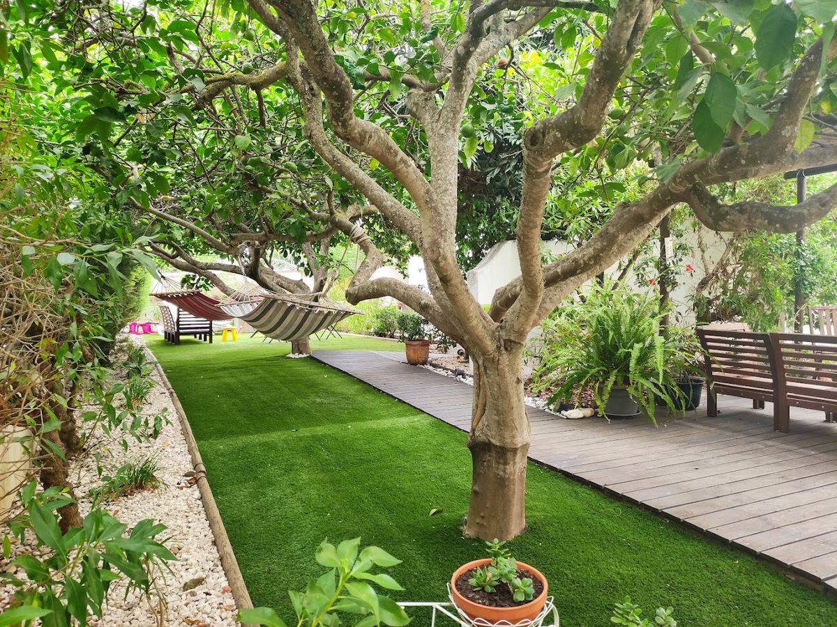 Garden