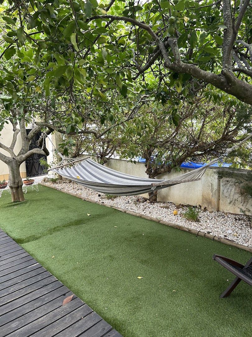 Hammock under the lemon trees